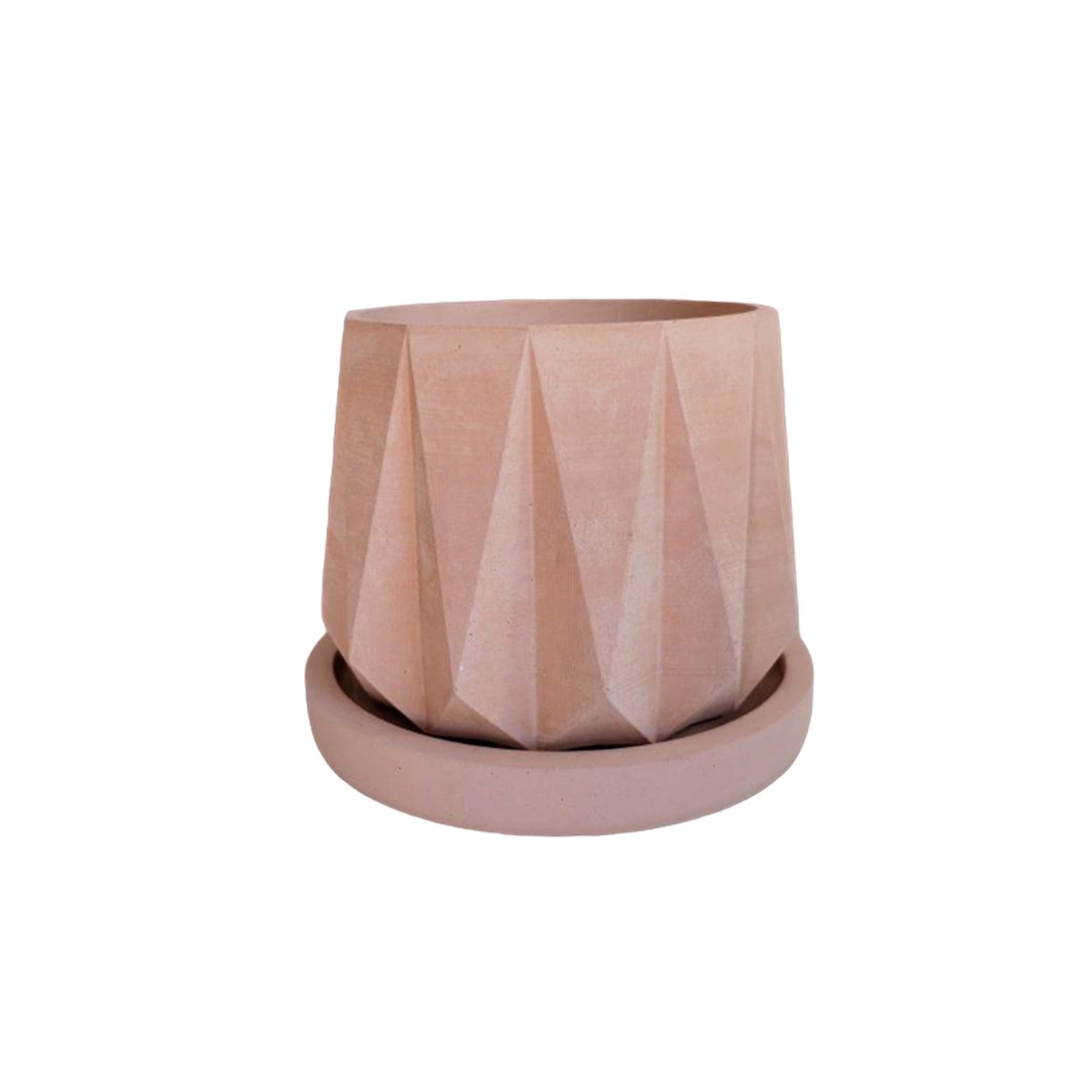 Matera de mesa Lirio Palo de Rosa 10x2cm de Cemento Circular de 0.2 Litros - Jardineria | Bylmo
