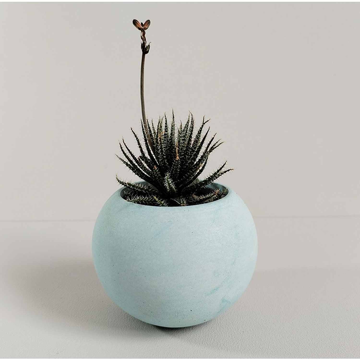 Matera de mesa Luna Aguamarina 6x7cm de Cemento Circular de 0.2 Litros - Jardineria | Bylmo