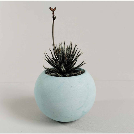 Matera de mesa Luna Aguamarina 6x7cm de Cemento Circular de 0.2 Litros - Jardineria | Bylmo