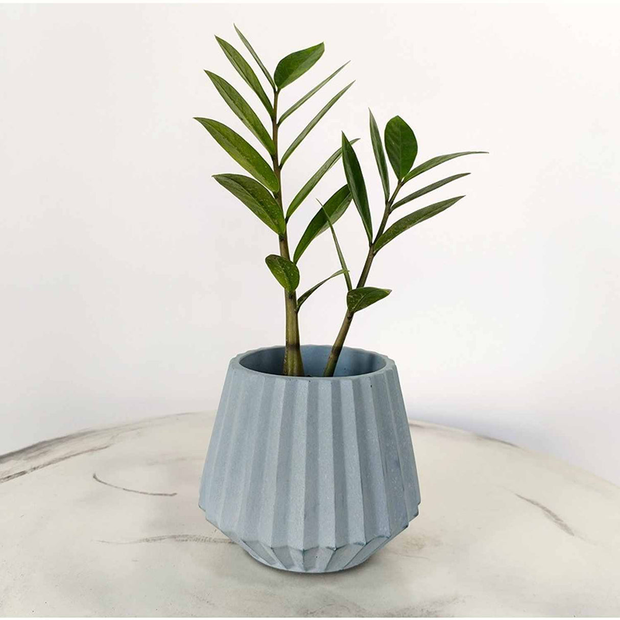 Matera de mesa Salma Azul Petróleo 12x11cm de Cemento Conica de 0.4 Litros - Jardineria | Bylmo