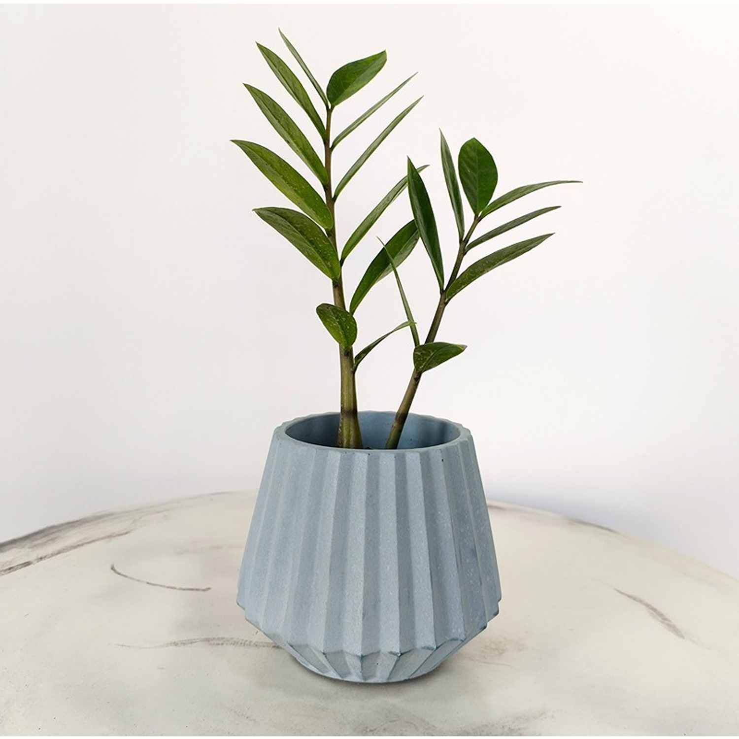 Matera de mesa Salma Azul Petróleo 12x11cm de Cemento Conica de 0.4 Litros - Jardineria | Bylmo