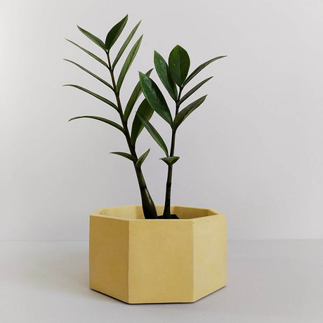 Matera de mesa Terrario Amarillo 18x9cm de Cemento Octagonal de 3.5 Litros - Jardineria | Bylmo