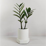 Matera de mesa Tornillo Blanco 10x10cm de Cemento Circular de 0.8 Litros - Jardineria | Bylmo