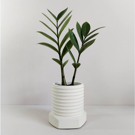 Matera de mesa Tornillo Blanco 10x10cm de Cemento Circular de 0.8 Litros - Jardineria | Bylmo