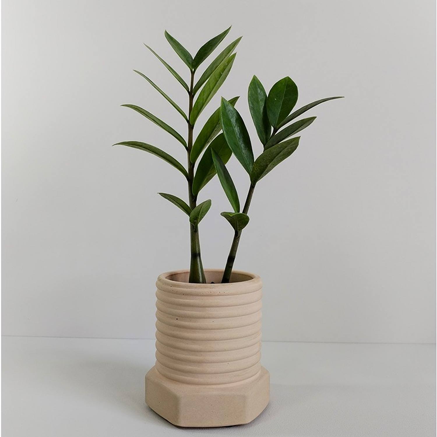 Matera de mesa Tornillo Nude 10x10cm de Cemento Circular de 0.8 Litros - Jardineria | Bylmo