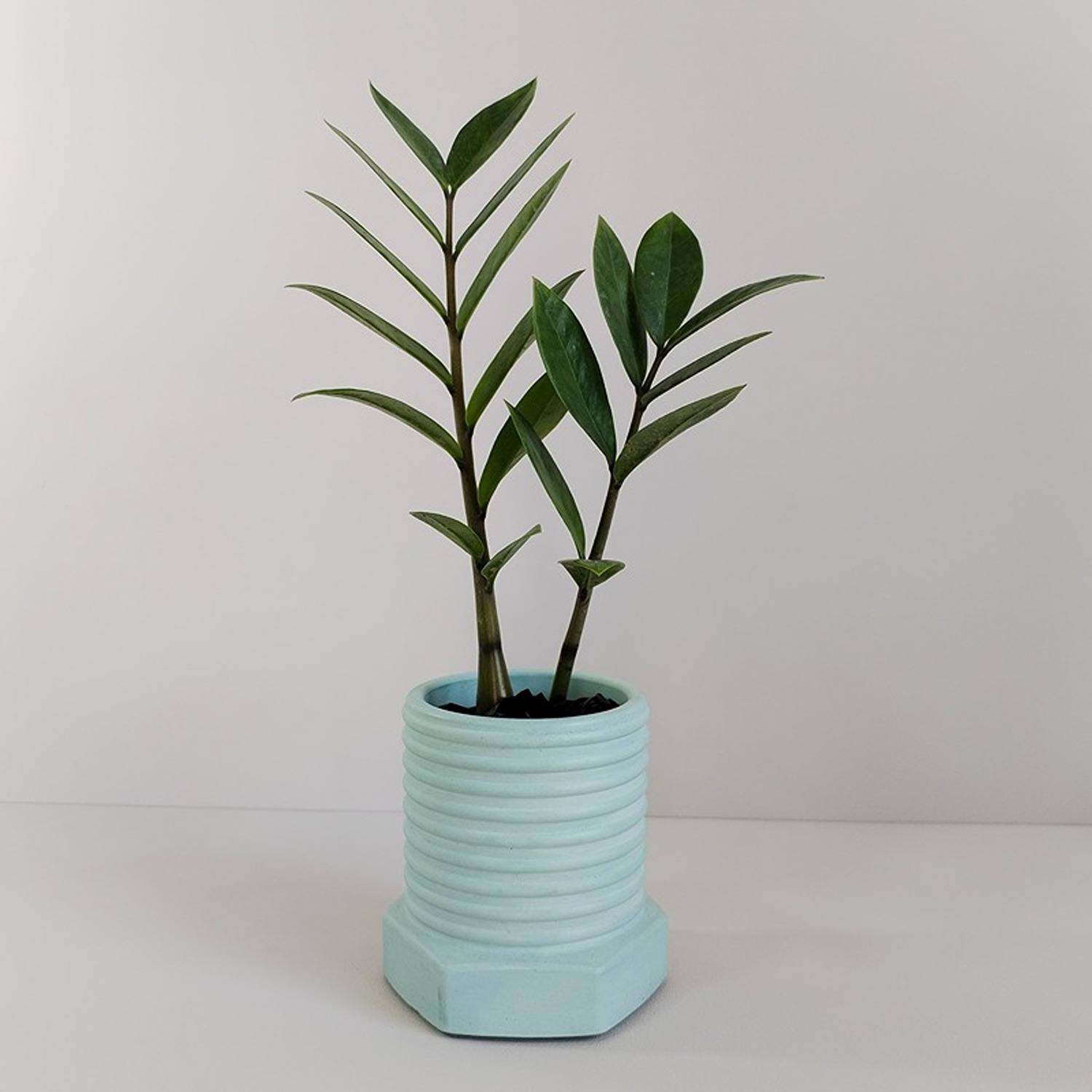 Matera de mesa Tornillo Aguamarina 10x10cm de Cemento Circular de 0.8 Litros - Jardineria | Bylmo