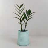 Matera de mesa Tornillo Aguamarina 10x10cm de Cemento Circular de 0.8 Litros - Jardineria | Bylmo