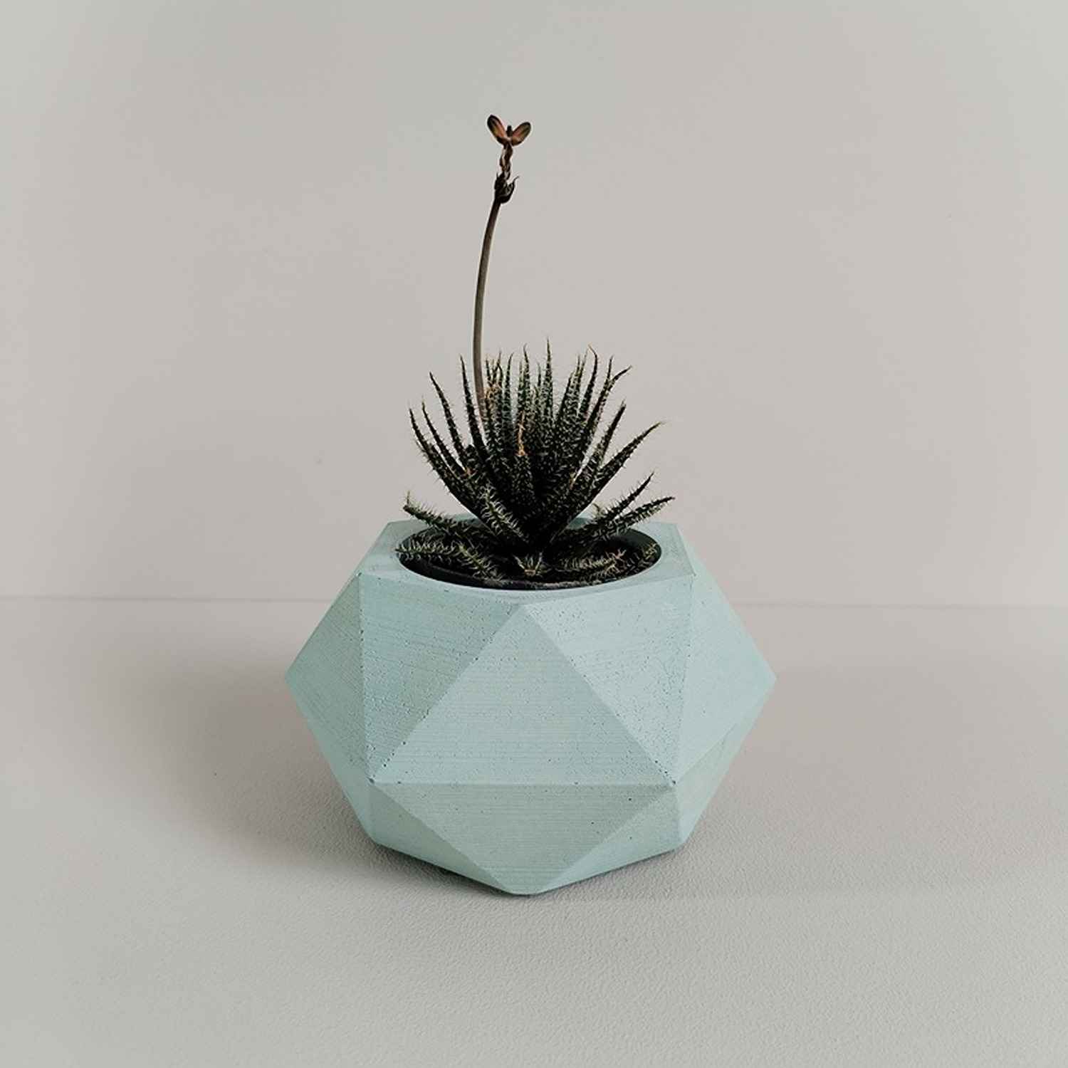Matera de mesa Adara Petty Aguamarina 7x7cm de Cemento Hexagonal de 0.2 Litros - Jardineria | Bylmo