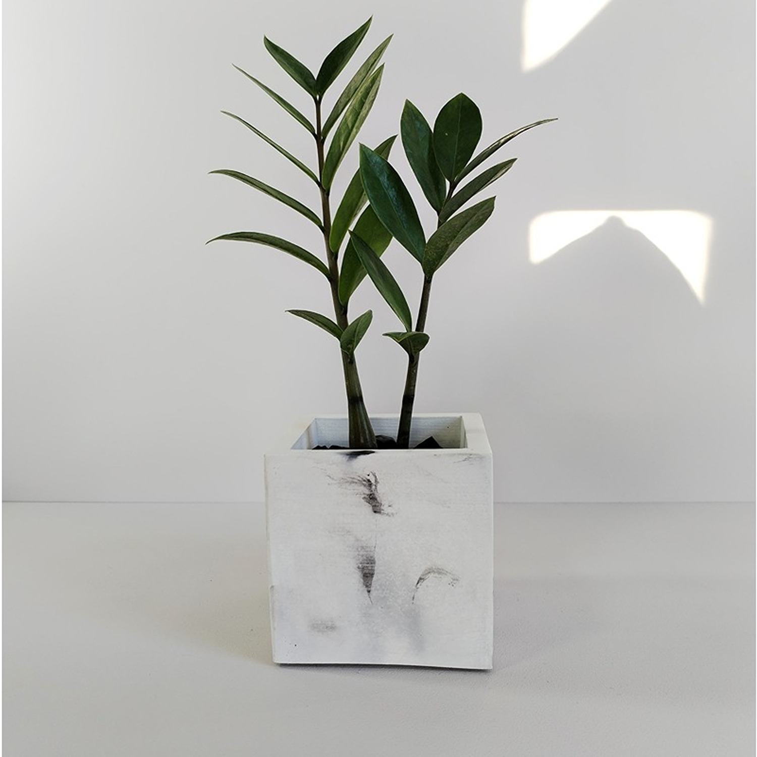 Matera de mesa Eloisa Petty Mármol Negro 12x12cm de Cemento Cuadrado de 1.7 Litros - Jardineria | Bylmo