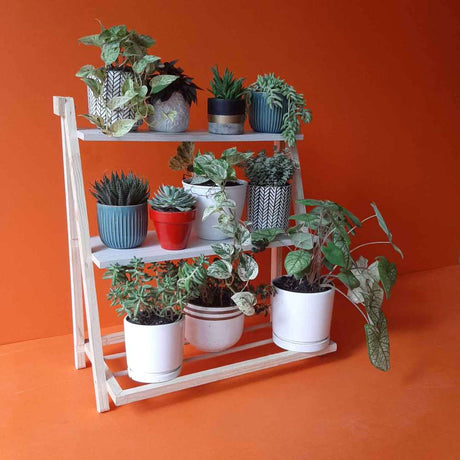 Mueble Dom Pino 65 cm - Repisas y Percheros | Bylmo