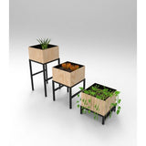 Porta Macetas x3 Elif Madera Grande: 32 cm, Mediana: 28 cm y Pequeña: 23 cm Cuadrados - Jardineria | Bylmo