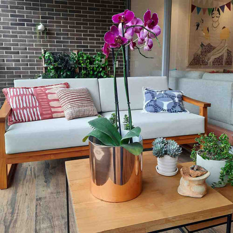 Matera de mesa Cobre 20x20cm de Metal Circular de 6.3 Litros - Jardinería | Bylmo