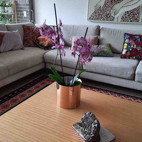 Matera de mesa Cobre 20x20cm de Metal Circular de 6.3 Litros - Jardinería | Bylmo