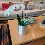 Matera de mesa Plateado 20x20cm de Metal Circular de 6.3 Litros - Jardinería | Bylmo