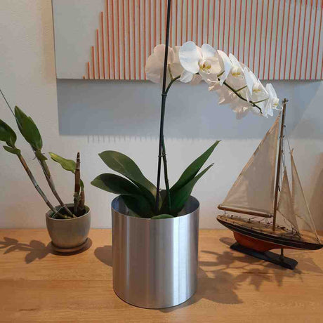 Matera de mesa Plateado 20x20cm de Metal Circular de 6.3 Litros - Jardinería | Bylmo